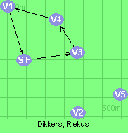 Dikkers, Riekus