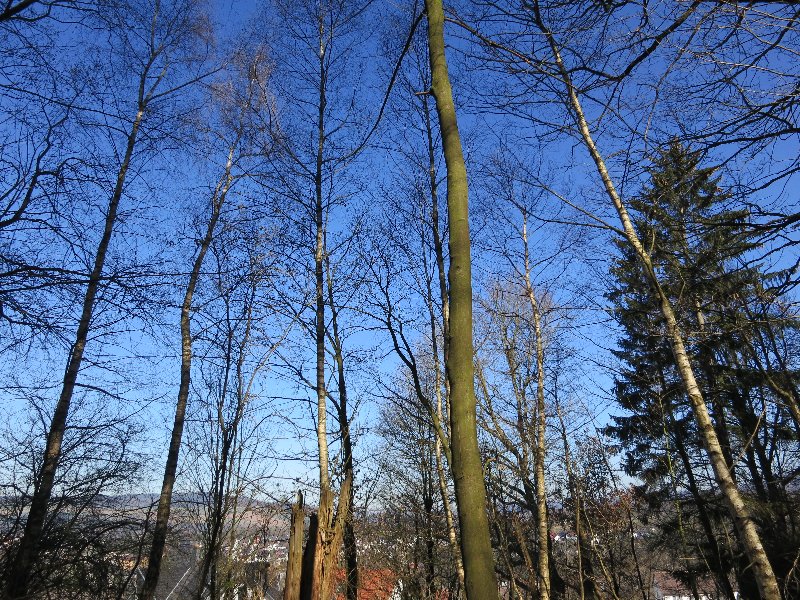 Bild45.jpg