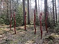 Bild33.jpg